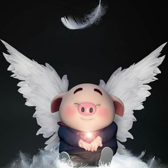 Shopping with Royal Haven - Picture 1 of 1